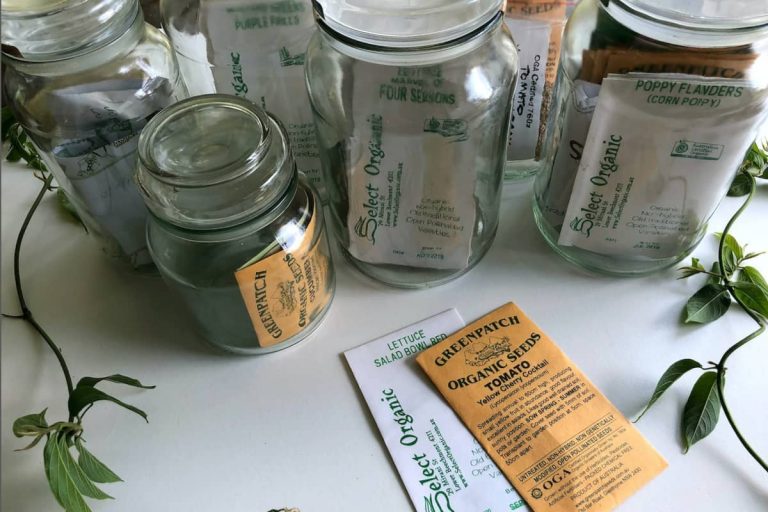 Does Grass Seed Expire Or Go Bad? 3 Simple Steps To Check