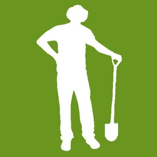 Are Majesty Palm Poisonous To Dogs And Cats