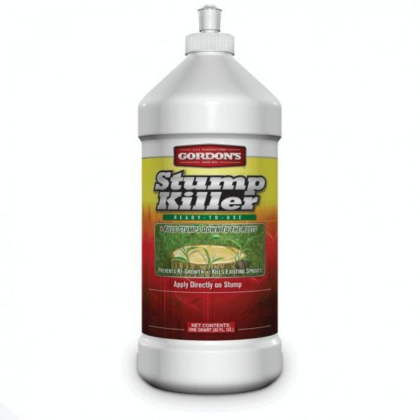 How To Kill A Tree Stump | Plus Best Stump Killers Reviewed