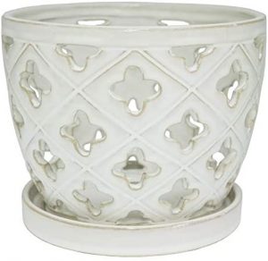 10 Best Orchid Pots & Containers Reviewed [+ Buyers Guide]