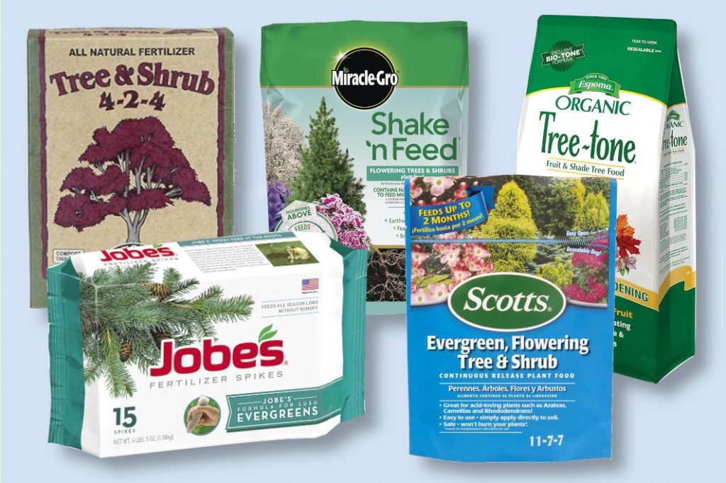 best fertilizer for trees and shrubs