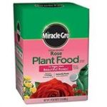 11 Best Rose Fertilizers And When To Apply Rose Food