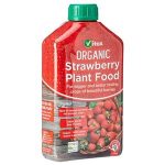 9 Best Strawberry Fertilizers + When To Fertilize Strawberries