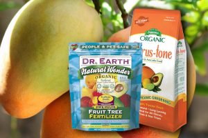 11 Best Fruit Tree Fertilizers When To Fertilize Fruit Trees