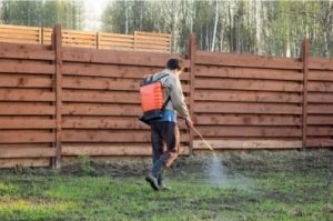 Pre-Emergent Herbicide List