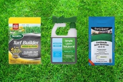 Best Fertilizer For Centipede Grass
