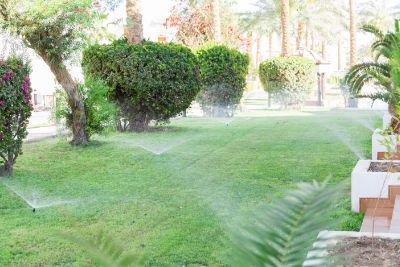 Why Water After Fertilizing
