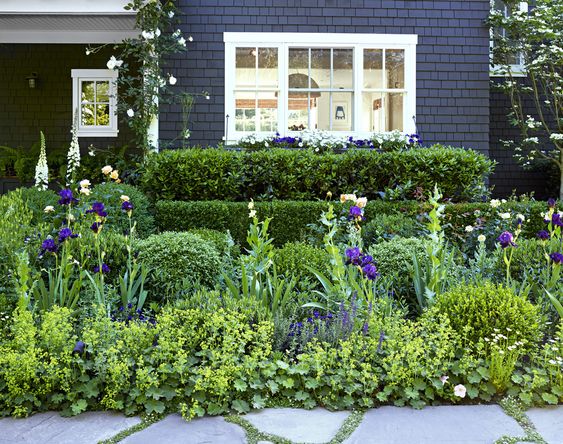 20 Boxwood Companion Plants And Landscaping Ideas