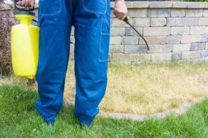 How To Dispose of Roundup Weed Killer