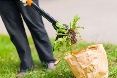 how to keep weeds out of flower beds
