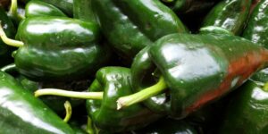 When To Pick Anaheim Peppers For A Perfect Harvest