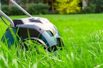 Lawn Scarifier
