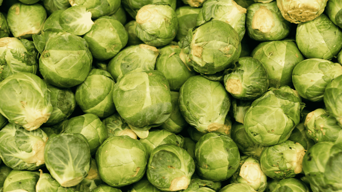 12 Best Brussels Sprouts Companion Plants And 4 To Avoid