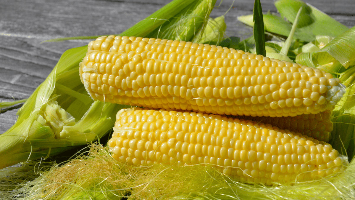 The 13 Best Companion Plants For Corn And 3 To Avoid