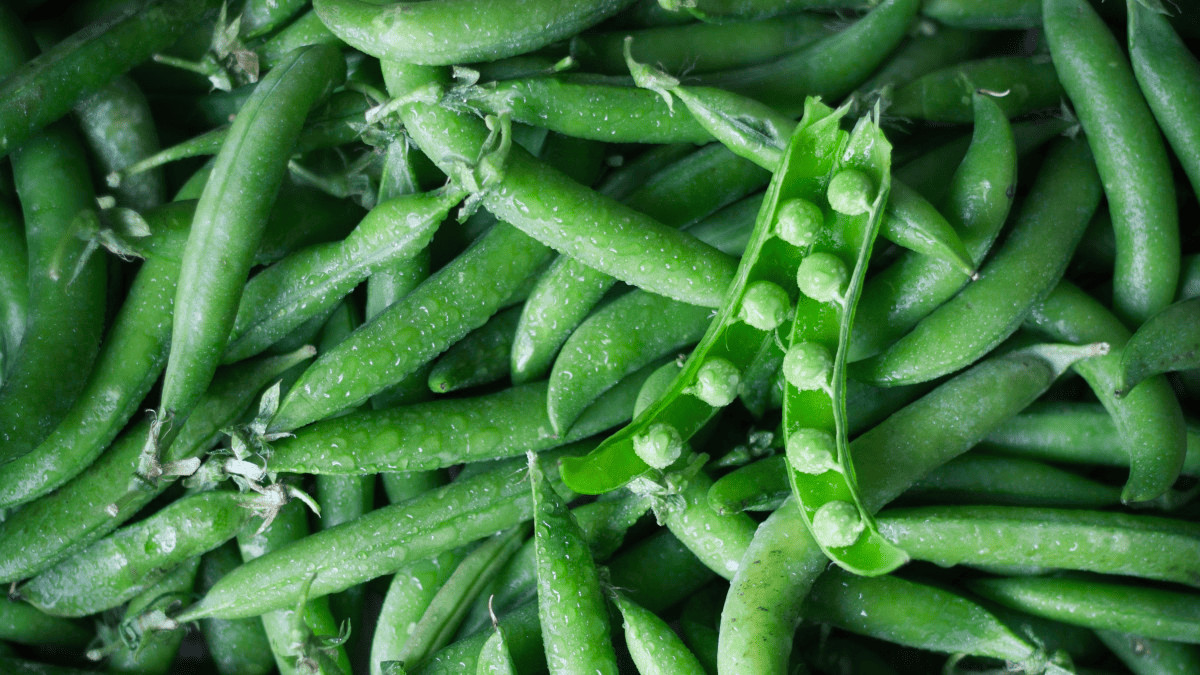 The 8 Best Companion Plants For Peas (And 4 To Avoid)